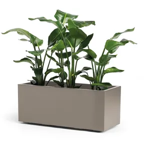 Pflanzkasten Blumenkasten Blumentopf GREENER KEBE 100 cm taupe mit Rollen kasten