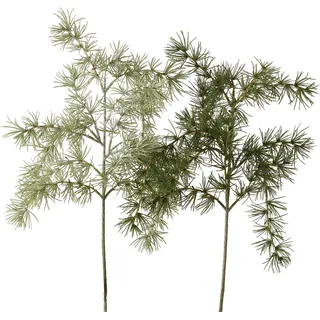 Boltze Wohndeko Ast Kiefer h62cm