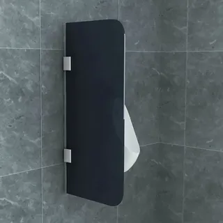 Aloni Glas Trennwand Urinal Schamwand Rauchglas 900x400 8mm - Schwarz
