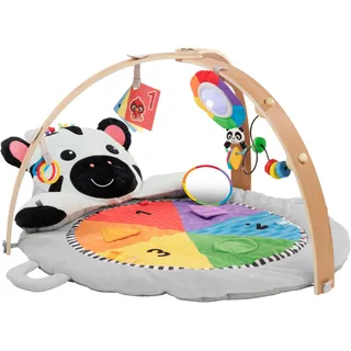 Baby Einstein »Zen's Activity MilestonesTM Plush Gym« mit Licht- und Sound