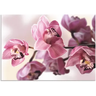 ARTland Wandbild »Rosa Orchidee«, Blumenbilder, (1 St.), als Alubild, Outdoorbild, Leinwandbild, Poster, Wandaufkleber