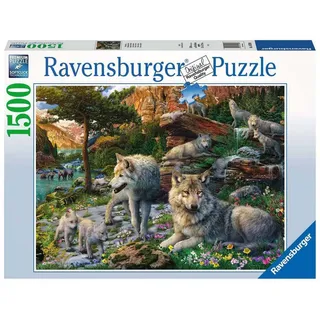 Ravensburger 16598