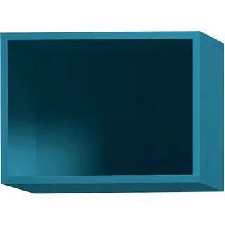 OPTIFIT Hängeregal 40 x 34,5 x 32 cm Blau