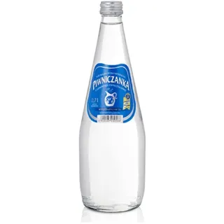 Natürliches Mineralwasser mit hohem CO2-Gehalt 0,7 l