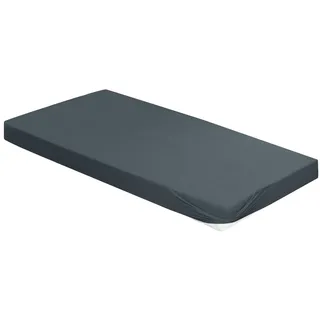 IRISETTE Spannbettlaken Jersey 180 x 200 - 200 x 200 cm grau
