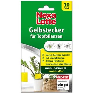 putzutensilien Nexa Lotte Gelbstecker