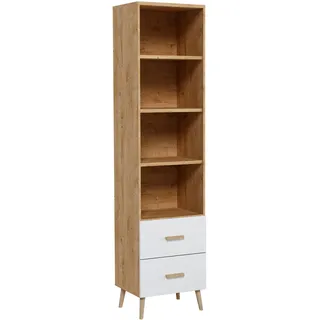 Wohnzimmer Schrank Regale Bücher Regalsystem Regale Wohnwand Schranksystem Neu - Beige