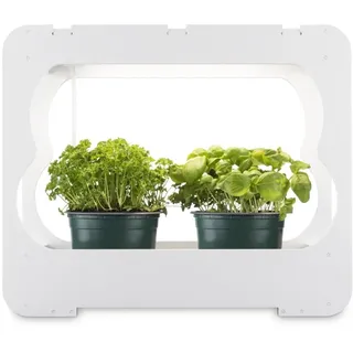 xavax Gewächsstation mit LED-Pflanzenlampe 3 Töpfe Ø 10 cm 14 x 14 x 14 cm Weiß