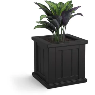 Mayne Cape Cod 4836-B, quadratischer Übertopf, 35,6 cm L x 35,6 cm B x 35,6 cm H, mit integriertem Wasserspeicher, 35,6 cm, Schwarz