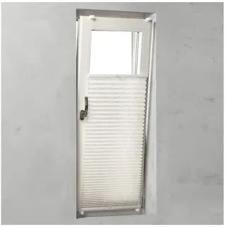 SOLUNA Faltenplissee mit Seitenverspannung ohne Bohren Design Motiv Honey100x130