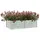 Garten-Hochbeet 160 x 80 x 45 cm Silber