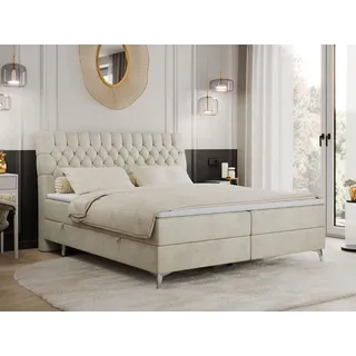 Boxspringbett 200x200 mit 2 Bettkästen Matratze und Topper, Polsterbett 200x200, Bett 200x200 - MILEN - 200x200 cm - Beige - Velvet - H3 - Beige