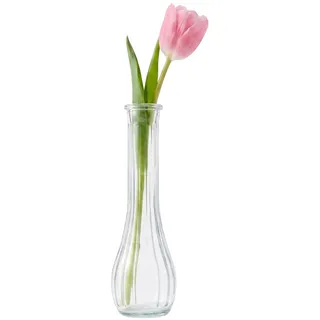 20 cm hohe Glas-Blumenvase, schmaler Hals, transparent, Einzelstiel-Vase für Zuhause, Tischdekoration, Hochzeit, Tafelaufsatz, Büro, Wohnzimmer, Dekoration