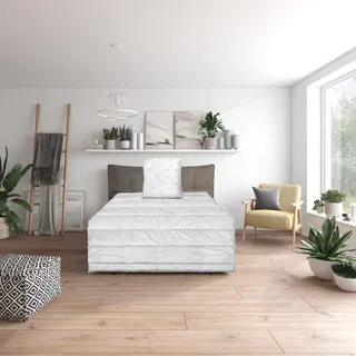 Traumnacht Green Basis Bettenset bestehend aus Einer leichten Sommerbettdecke, 155 x 220 cm + Kopfkissen 80 x 80 cm, Öko-Tex Zertifiziert, produziert nach deutschem Qualitätsstandard