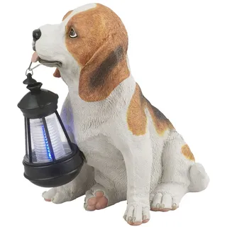 GLOBO Solarleuchte Hund Beagle mit Laterne, H 24 cm