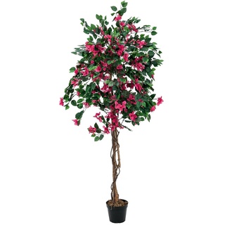 Europalms Bougainvillea, rot, 150cm