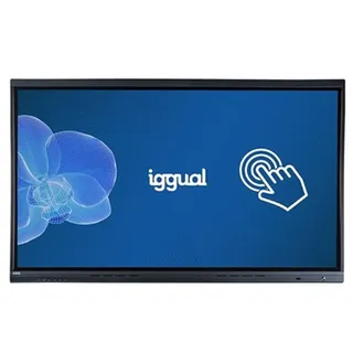 Iggual IGG318805 65" Interaktiver Touchscreen