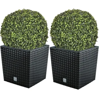 Doppel-Set Blumentopf Rato 32 Liter mit Pflanzkübel in Anthrazit 32 x 32 x 32,5 cm + Buchsbaumkugel Ø 36 cm