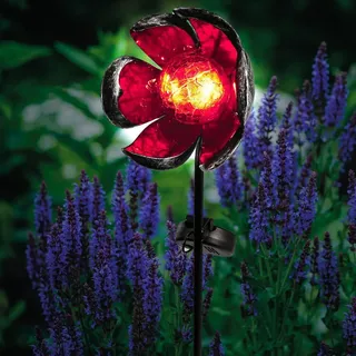 esotec Solar Gartenstecker Florelia LED-Gartenstecker Stecklicht outdoor 102384