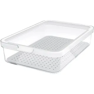 Rotho Frischhaltedose transparent 2,6 l