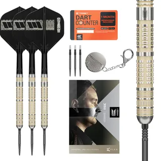 Target Darts Dimitri Van den Bergh Steeldarts 95K-Dartpfeil-Set, 22 g/23 g/24 g | 95-%-Tungsten-Dartpfeile, K-Flex No. 2 Flights und Schäfte, Schwarze Swiss DX-Points und SP-Tool inkludiert