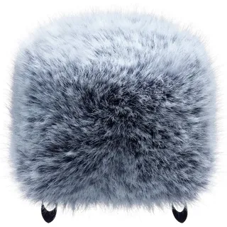Tascam Windschutz WS-86, Portacapture