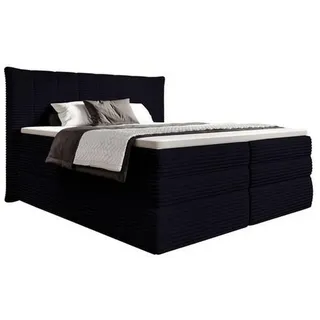 Esposa BOXSPRINGBETT Schwarz - 160x200 cm