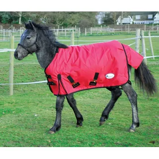 Rhinegold 0 Foal Konig Outdoor Rug-Mediumweight 200gsm Polyfill Outdoorteppich, rot, 4'0"