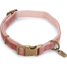 Designed by Lotte Velura (XL, Hund, Spazieren), Halsband + Leine