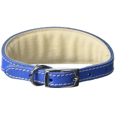BBD Pet Products Hundehalsband, italienisches Grau, Einheitsgröße, 1,27 x 25,4 bis 30,5 cm, Königsblau