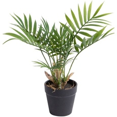 Bild Künstliche Zimmerpflanze »Chamaedorea Palme«, grün