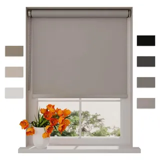 Radeco® Verdunklungsrollo ohne Bohren 100 x 190 cm (BxH) Hellgrau, Größen von 40 bis 240 cm Breite, Rollos für Fenster ohne Bohren, Klemmrollos für Fenster