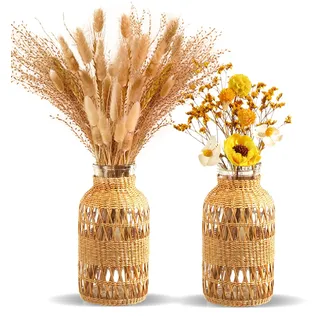 ZENS Rustikale Vasen Boho Deko 2er Set, Handmade Gewebter Vase Glas für Tischdeko, Blumenvase in Landhausstil Für Pampasgras, Bücherregal, Wohnzimmer und als Geschenk