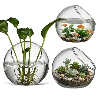 Balacoo 3er Set Kugelvase Schräg, Terrarium Air Plant Planters Glaschalen Vasen 3Er Set Runde Klare Terrariumvasen FüR Sukkulenten Und Luftpflanzen Dekoration Zuhause BüRo