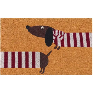 Relaxdays Kokos 60 x 40 cm Mehrfarbig