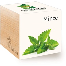 Feel Green 296466 Ecocube Minze, Nachhaltige Geschenkidee (100% Eco Friendly), Grow Your Own/Anzuchtset, Pflanzen Im Holzwürfel, Made in Austria