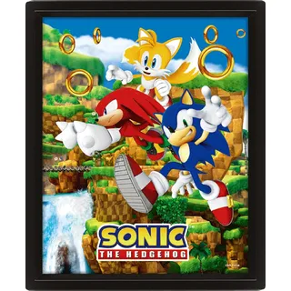 Pyramid International Sonic the Hedgehog Poster in 3D (Catching Rings Design) Lenticular 3D Wall Art and Poster in Black Picture Frame 25cm x 20cm x 1.5cm - Official Merchandise