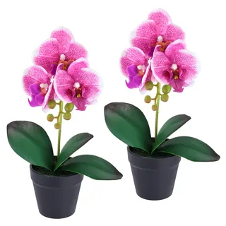 I.GE.A. Kunstorchidee "Orchidee im Topf 2er Set" Künstliche Phalaenopsis 30cm Real Touch Blume Kunstblume Seidenblume, dunkelrosa