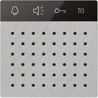 TCS Sprechenmodul AMI11110-0010 Silber