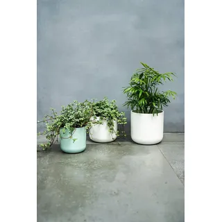 Ivyline Blumentopf, Keramik, weiß, 18.5 cm