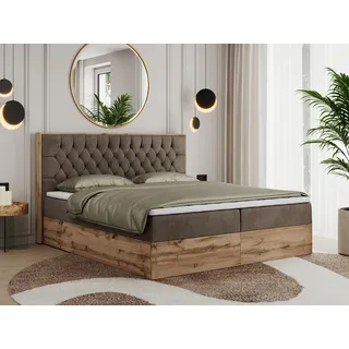 MKS MEBLE Boxspringbett 180x200 mit Bettkasten Eiche, Polsterbett 180x200 mit Matratze H3, Bett 180x200 mit Kopfteil, Bett mit Holzrahmen in Wotan Eiche - Braun Velvet - Amore - Bronze