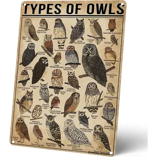 Homely Accents Types Of Owls Vintage-Metallschilder, pädagogisches Poster, Blechschilder für Zuhause, Badezimmer, Klassenzimmer, Café, Dekoration, Bauernhaus, Wandkunst, Geschenk für Eulenliebhaber,