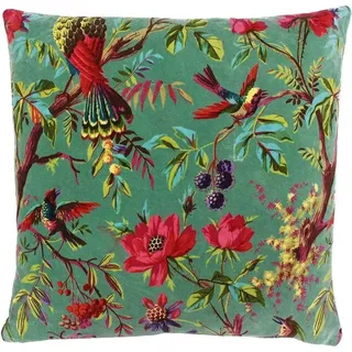 Paoletti Paradise Quadratischer Kissenbezug - Aqua Bunter Vogel-Print Samtiger Baumwollstoff (50 x 50 cm, 1 Stück)