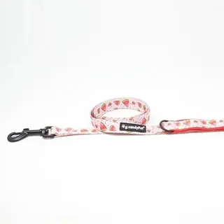 candyPet - Nylon Leash - 130 cm long - Soft neoprene handle, Comfortable and durable, WATERMELON