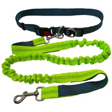 QitinDasen Freihändige Hundeleine, Grau Verstellbarer Hüftgurt und Grün Dehnbare Bungee-Leine, Jogging Hundeleine mit Reflektierenden Nähten