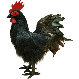 Fenteer 34cm Realistische Hahnfigur Schwarz, Gartenfigur Huhn Deko