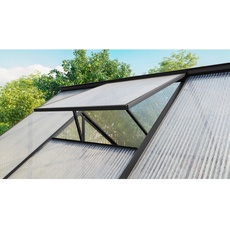Bild Dachfenster für Gewächshaus Triton ohne Verglasung schwarz