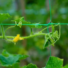 GARDENIX® Net für Garten und Gewächshaus mit Maschenweite (15x17cm), für den Wachstum von Tomaten, Gurken und Kletterpflanzen und 100 STK. Pflanzenclips (Grün + 100 Clips, 2m x 20m)