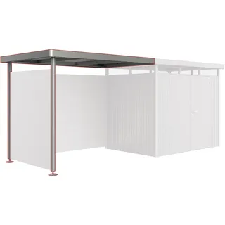 Biohort Seitendach zu HighLine H2 Quarzgrau-Metallic