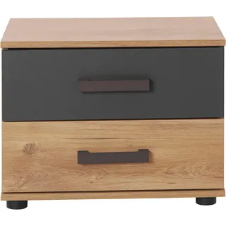 Wimex Nachtschrank »Malmoe, Nachttisch 52x38x40cm, 2 Schubladen« einzeln oder im praktischen 2er Set, rusikaler look, Industrial Design, grau